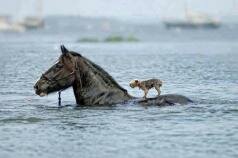 Watertaxi