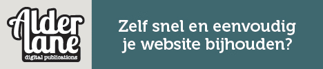 WordPress website